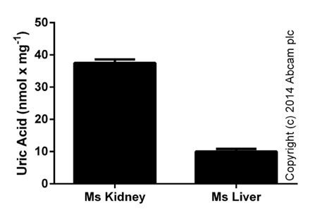 Uric Acid Assay Kit (ab65344) 